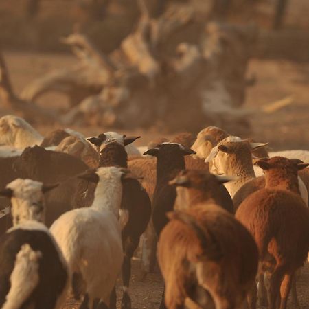 MeltonwoldMelton Wold Guest Farm别墅 外观 照片